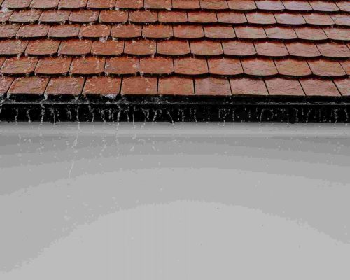 NASAX Roofing Constructions Leakage Repair Renovation (15)